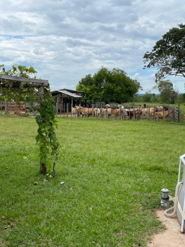 Propiedad Agrícola Ganadera de 1.399 hectáreas en San Pedro del Paraná, Itapúa 🇵🇾